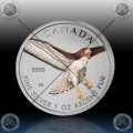 1oz KANADA $5 Birds of Prey "Red-tailed Hawk" 2015 BARVNI 1oz KANADA $5 Birds of Prey "Red-tailed Hawk" 2015 BARVNI